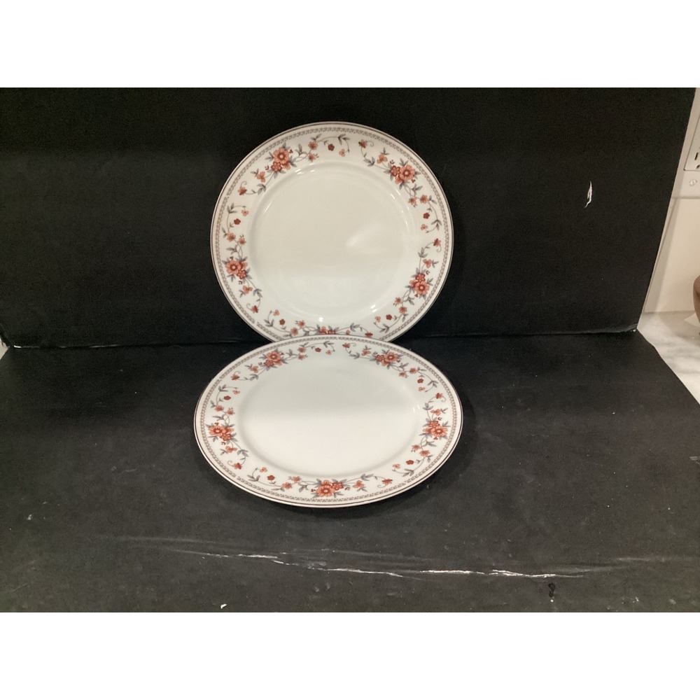 Sheffield Anniversary Dinner Plate Porcelain Fine China 10.5" Set of 2